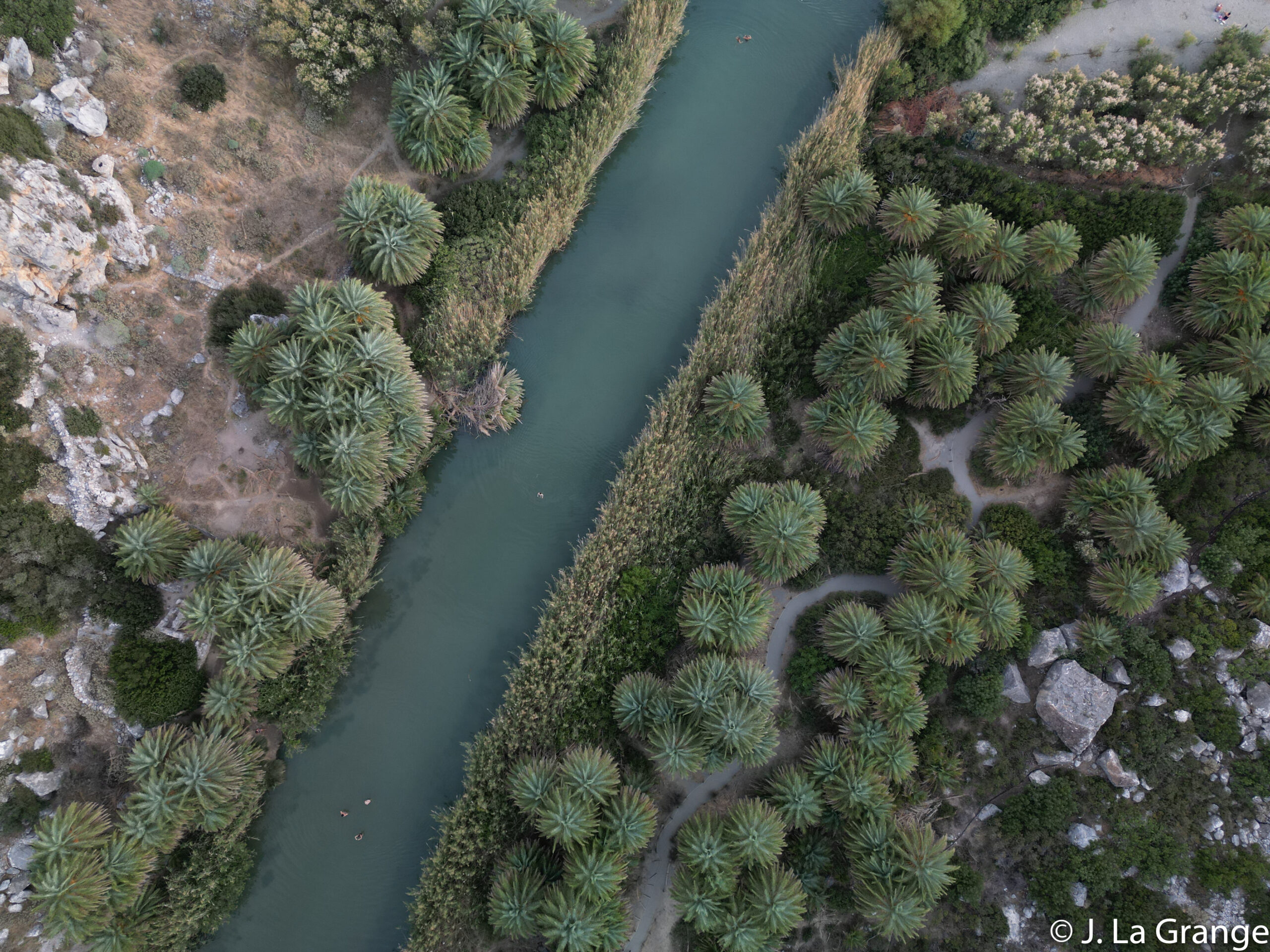 DJI_0785