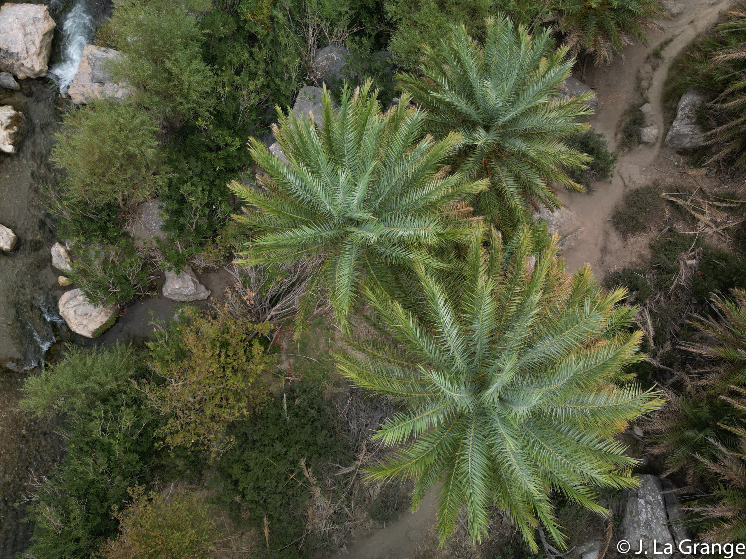DJI_0797