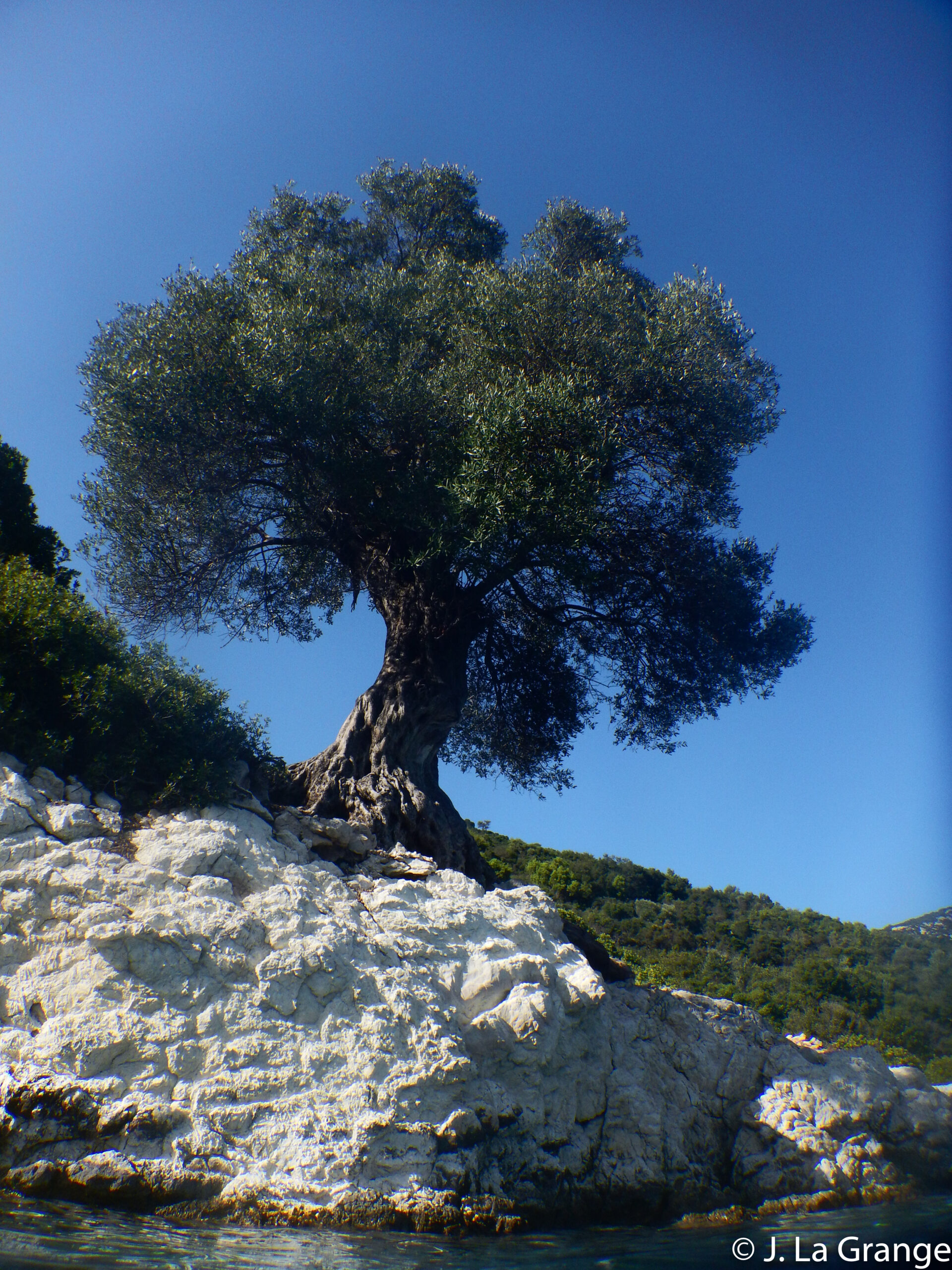 DSCN5854