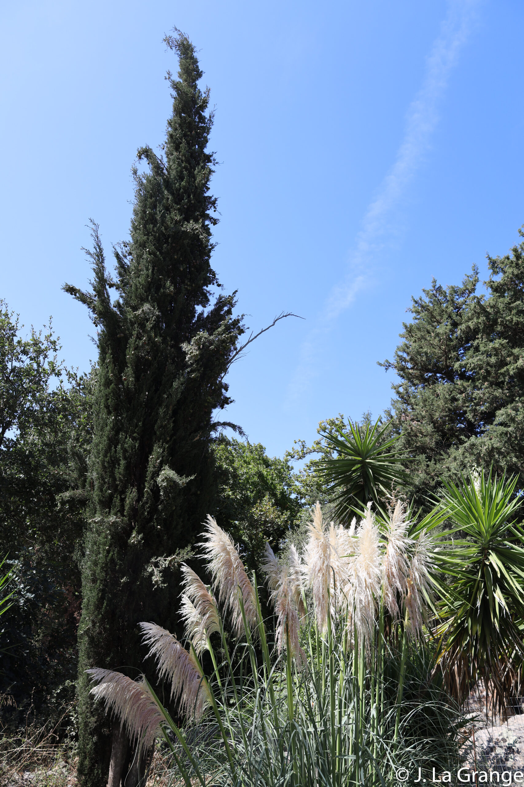 JLG_1743