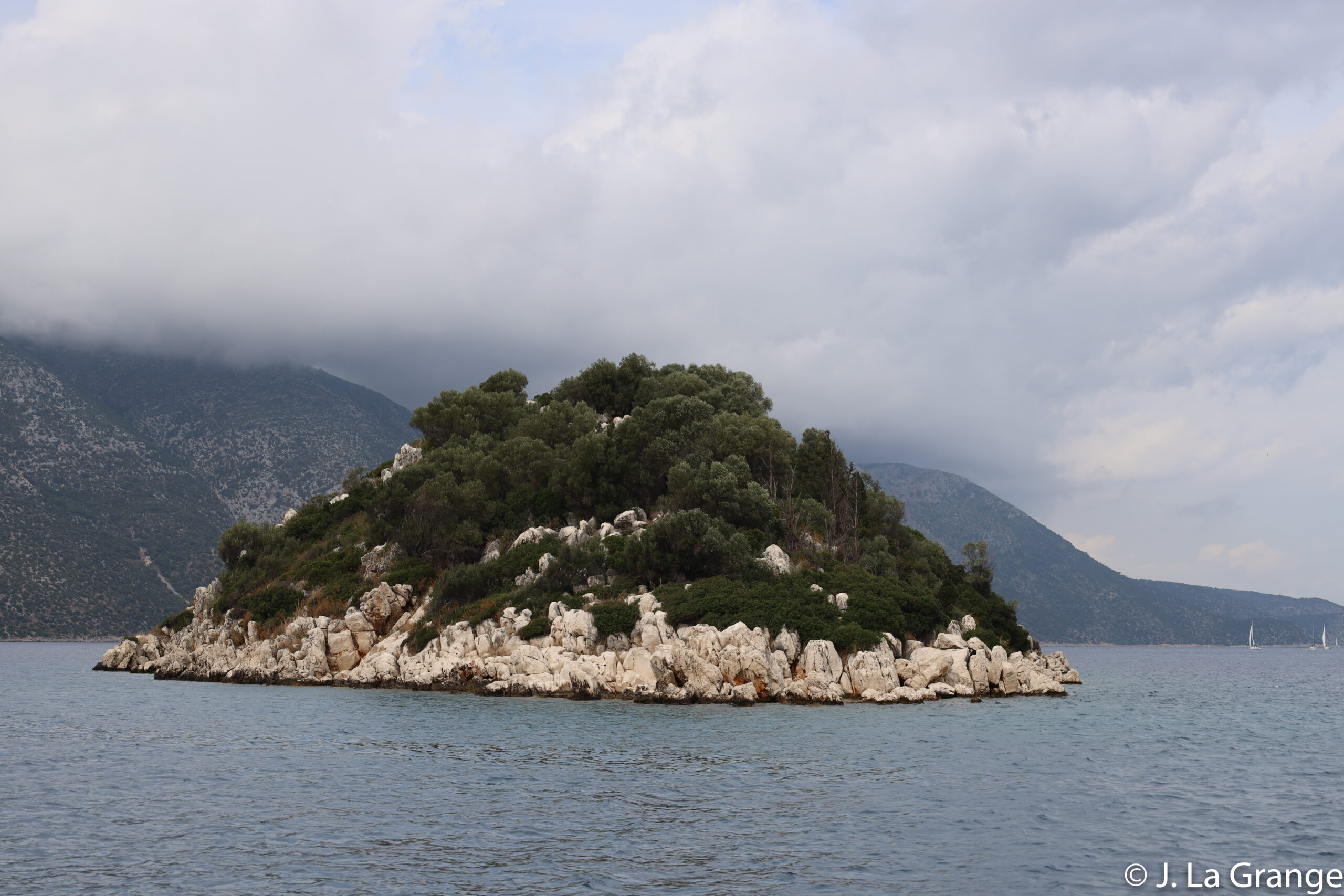 JLG_2767