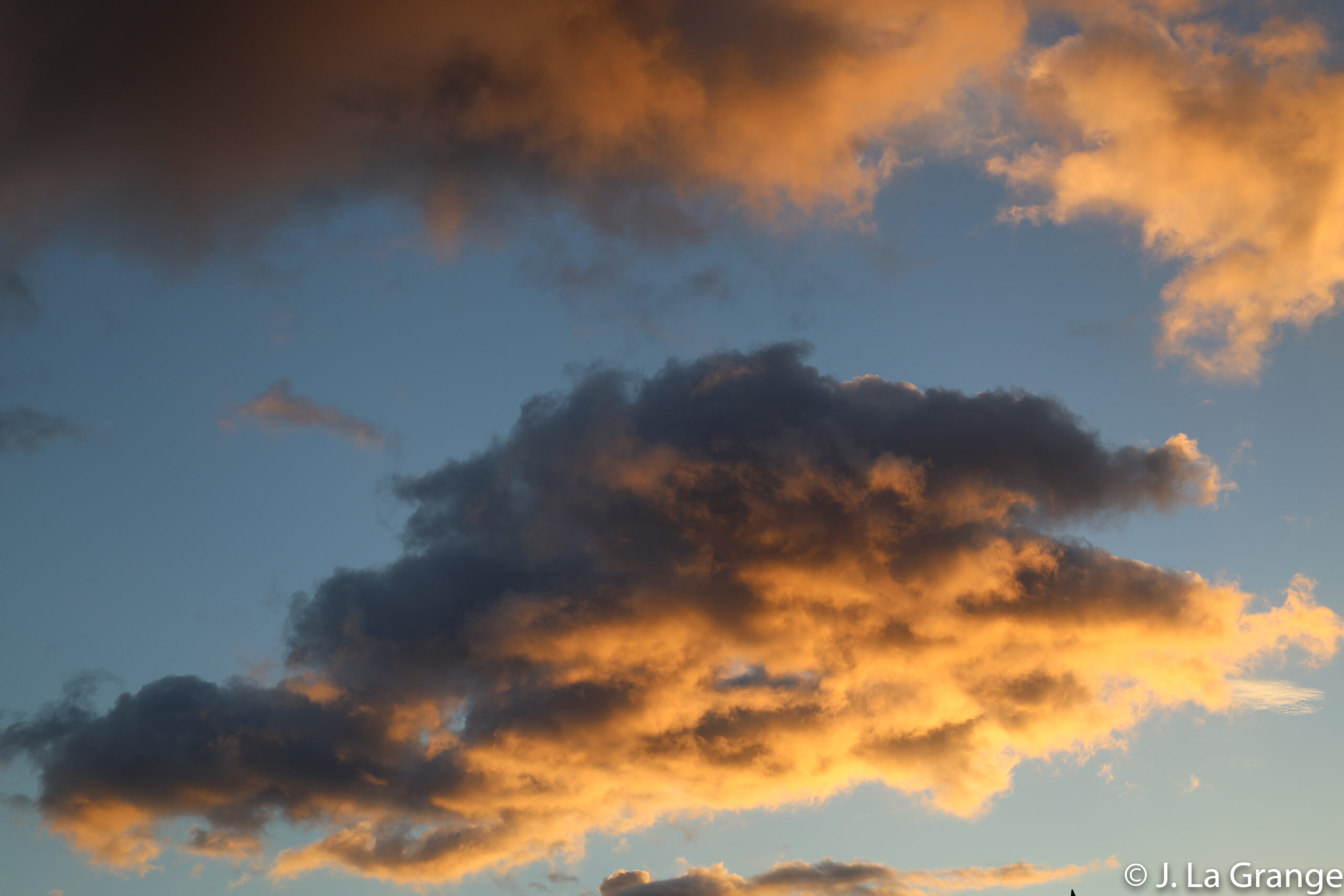 JLG_2814