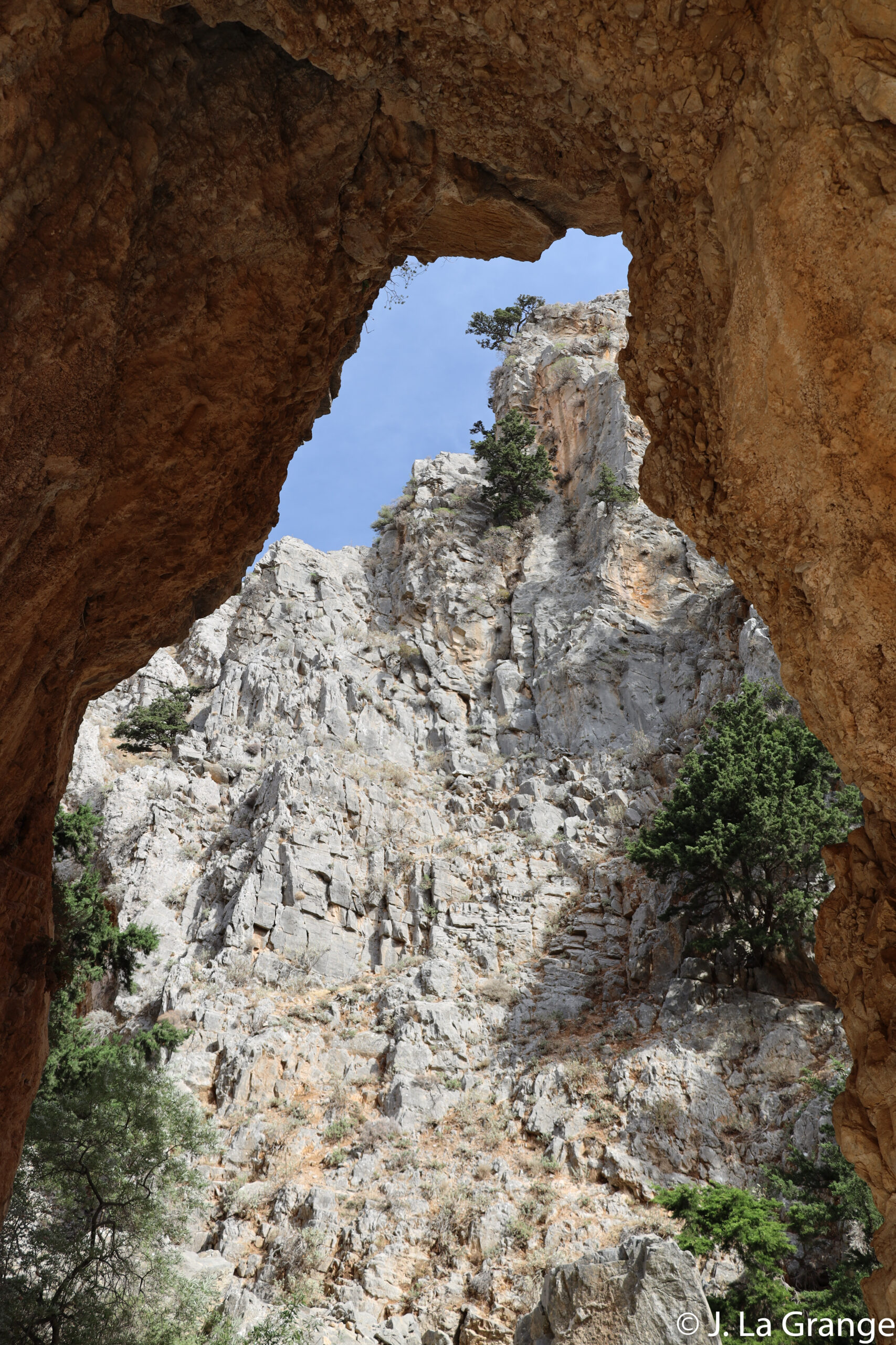 JLG_3367